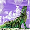 Play Tired lizard slide puzzle