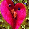 Play Two lovebirds slide puzzle
