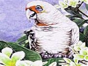 Play Alone parrot and flowers slide puzzle