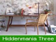 Play Hiddenmania three