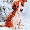 Play Red dog in the snow slide puzzle