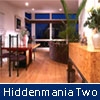 Play Hiddenmania two