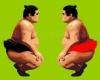 Play Challenge of the sumo wrestlers