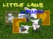 Play Little lamb memory