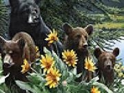 Play Bear family and flowers puzzle