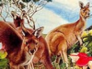 Play Kangaroos in the garden puzzle