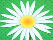 Play Daisy petals