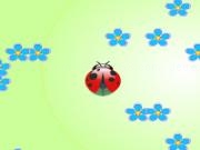 Play Ladybug and flowers
