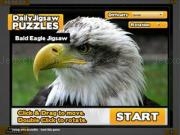 Jugar a Bald eagle jigsaw