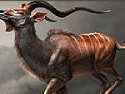 Play Wild antelope slide puzzle
