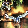 Play Flying birds slide puzzle