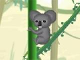 Play Koala vs bugs