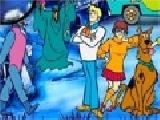 Play Scooby and shaggy hidden stars