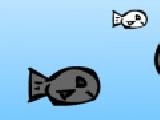 Play Life of squid
