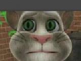 Play Talking tom cat