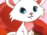 Play My cute kitty