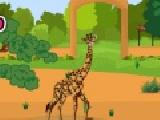 Play Zoo decor