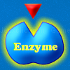 Jugar a Enzymatic!