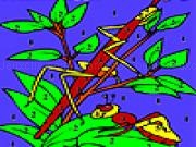 Play Grasshoppers on the leaf coloring