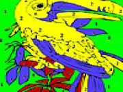 Play Old parrot coloring