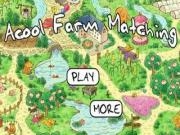 Play Acool farm matching