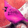 Play Colorful birds in  autumn puzzle