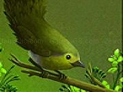 Play Hungry goldcrest slide puzzle