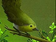 Play Hungry goldcrest slide puzzle