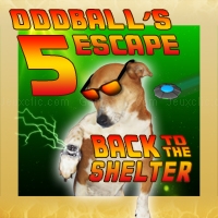 Play Oddballs escape 5: back to the shelter