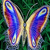 Play Flying colored wings slide puzzle