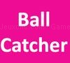 Play Ball catcher