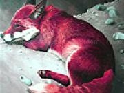 Play Red  mountain foxes puzzle