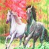 Play Faster horses puzzle