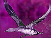 Play Flying duck puzzle