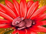 Play Flower on the rabbit puzzle