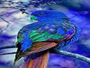 Jugar a Blue home parrot puzzle