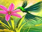 Play Hummingbird in the garden slide puzzle