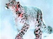 Play Snow leopard puzzle