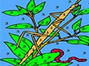 Play Worm and dragonfly coloring