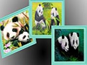 Play Hungry fattest pandas puzzle