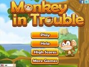Play Monkey in trouble