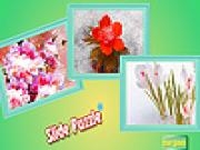 Play Winter flowers garden puzzle