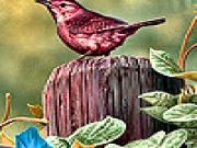 Play Goldcrest in the farm puzzle