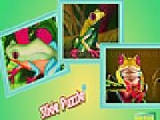 Play Mountain frogs puzzle