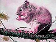 Play Pink hungry squirrel slide puzzle