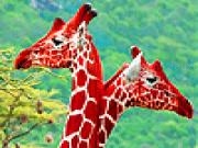 Play Lovely giraffes in the garden puzzle