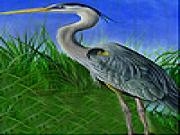 Play Heron in the reeds slide puzzle
