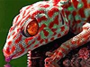Play Thirsty red gecko puzzle
