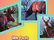 Play Reindeers in jungle puzzle
