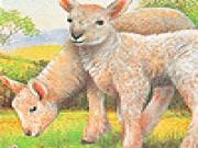 Play Lambs in the farm slide puzzle